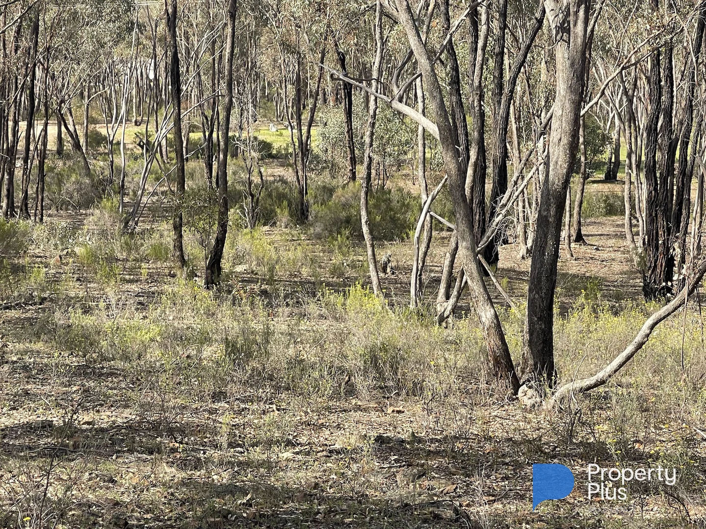 Additional image 16 of CA 37H Olympic Parade, Maiden Gully VIC 3551