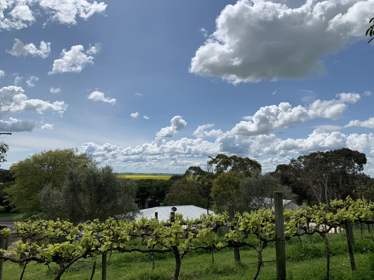 Additional image 6 of 4 Schinckel Street, Rendelsham SA 5280