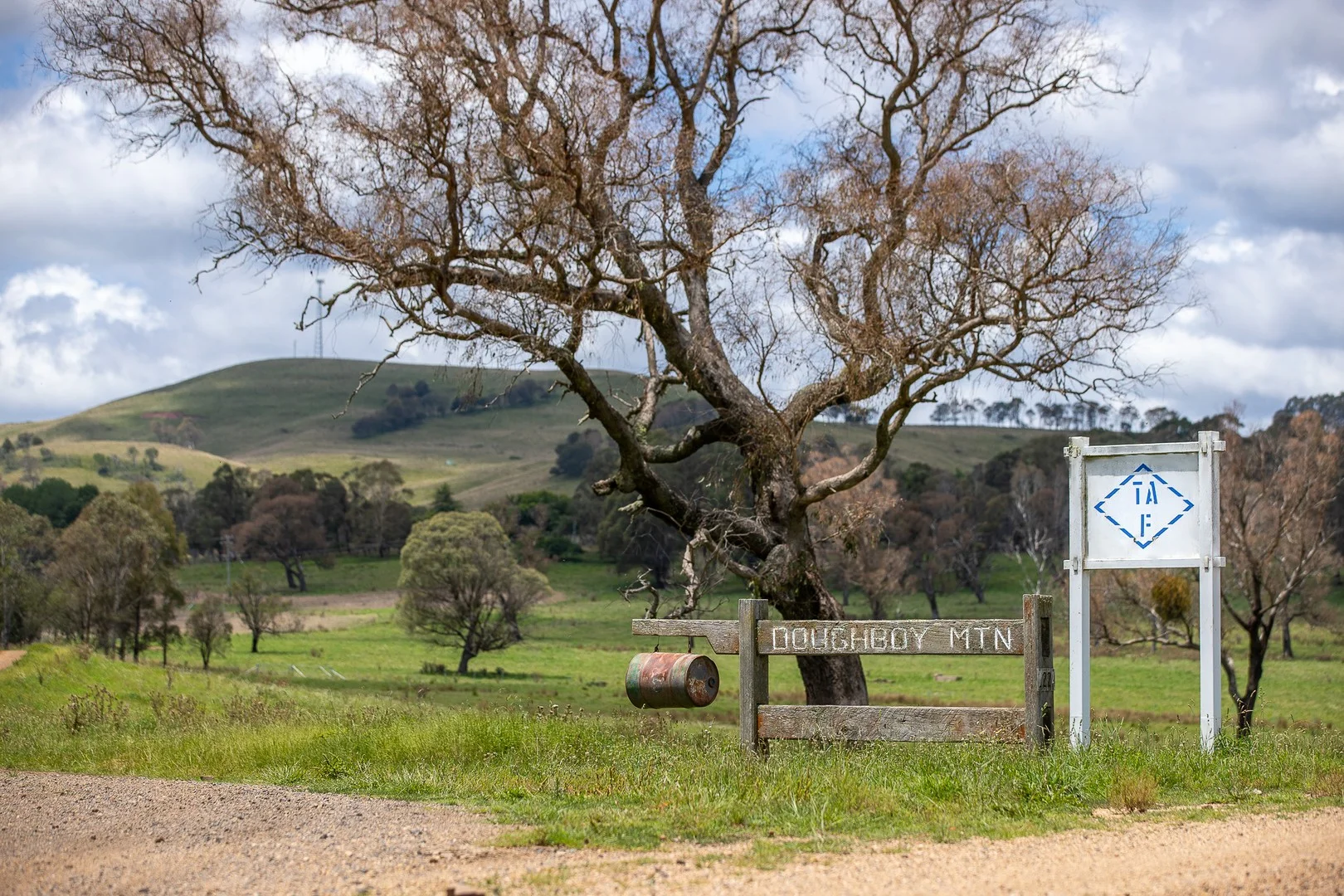 1763 Wongwibinda Road, Armidale NSW 2350