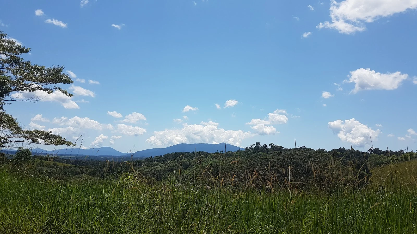 Additional image 4 of Lot 213 Kelly Road, Ellinjaa QLD 4886