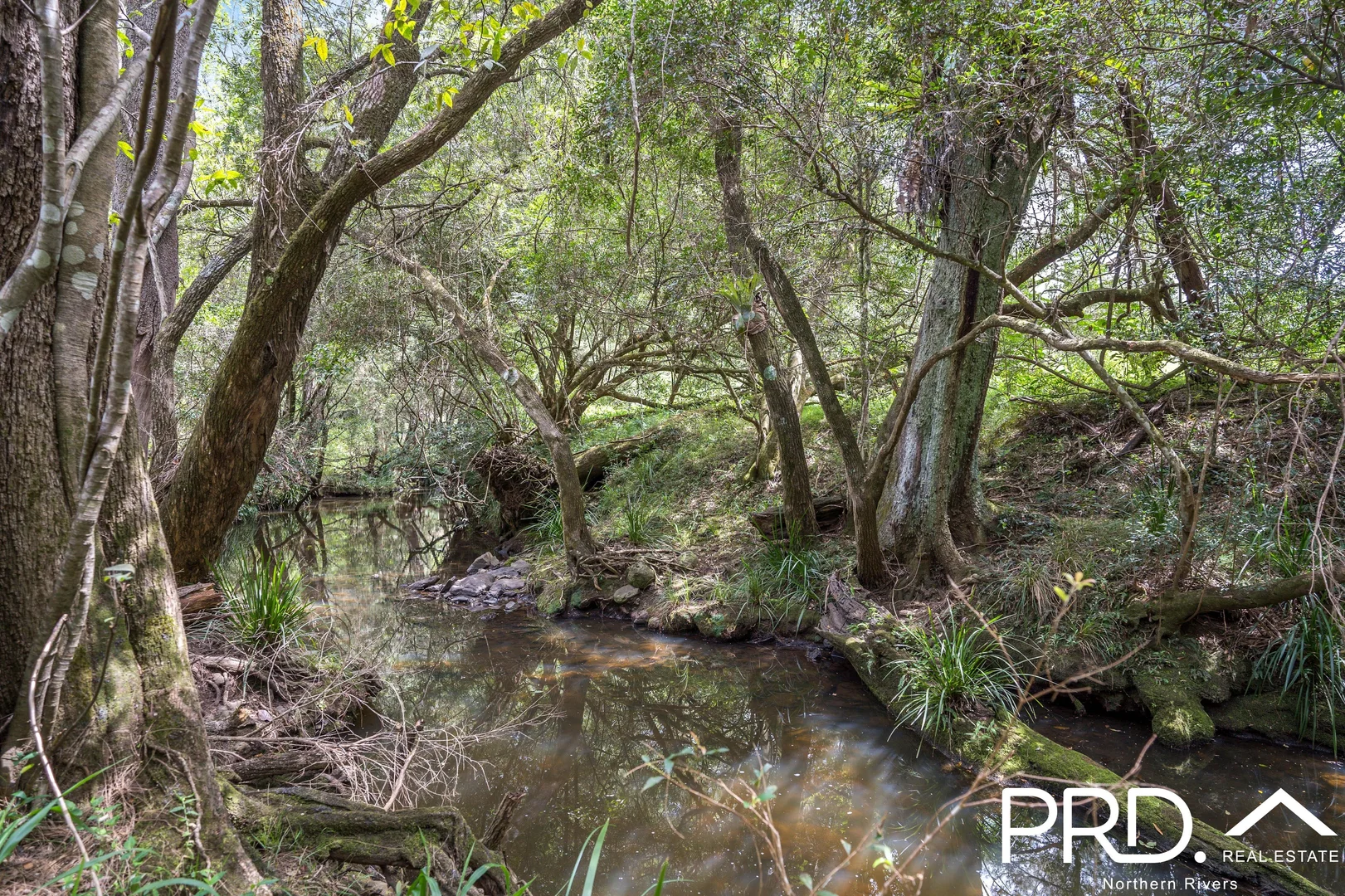 Additional image 4 of 130 Homeleigh Road, Homeleigh NSW 2474