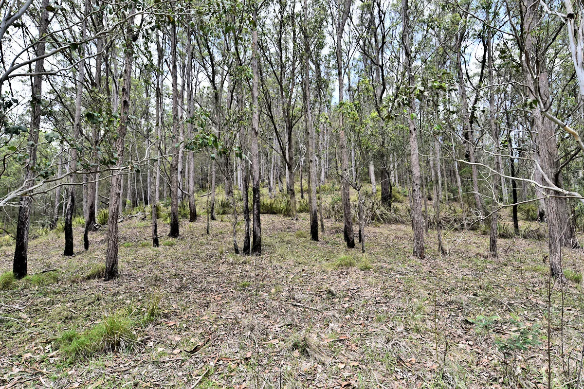 Additional image 15 of 1670 Watagan Creek Road, Watagan NSW 2325