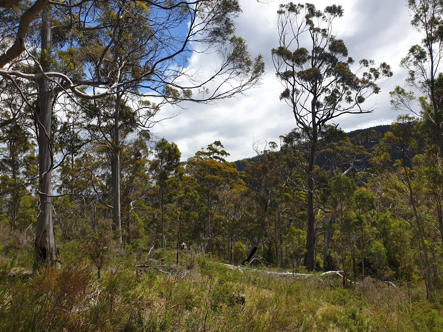 Additional image 15 of 10 Cross Road, Nicholls Rivulet TAS 7112