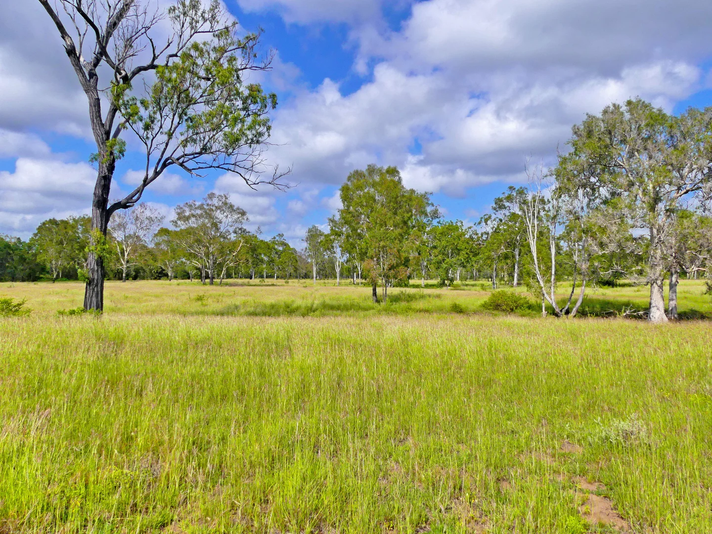 Additional image 8 of "Jacques " 0 Cunningham Road,, Nine Mile QLD 4702