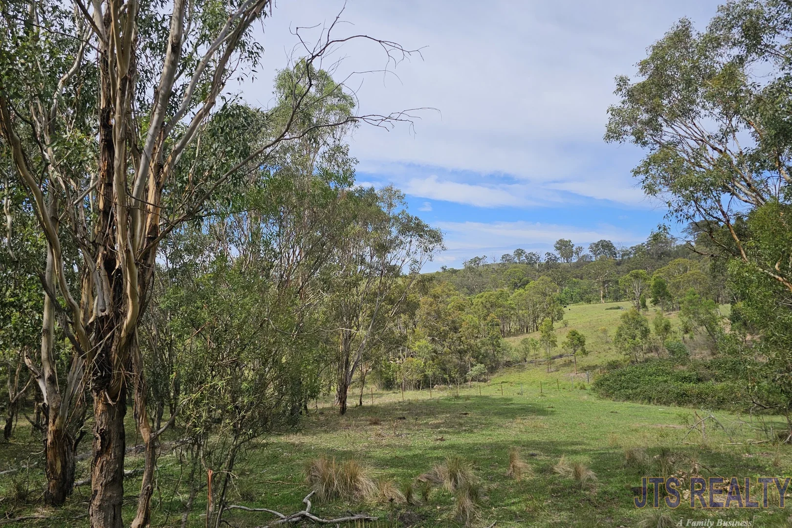 Additional image 32 of 59 Dolahentys Branch Road, Muswellbrook NSW 2333