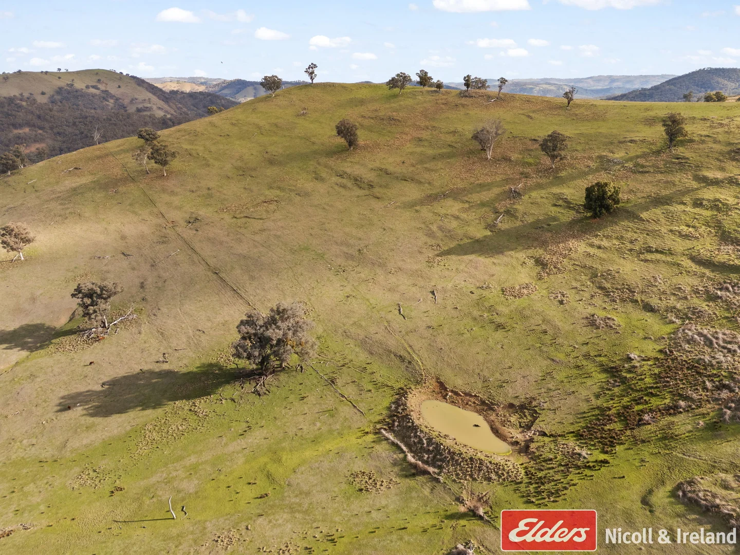 Additional image 12 of 6843 Goulburn Road, Abercrombie River NSW 2795