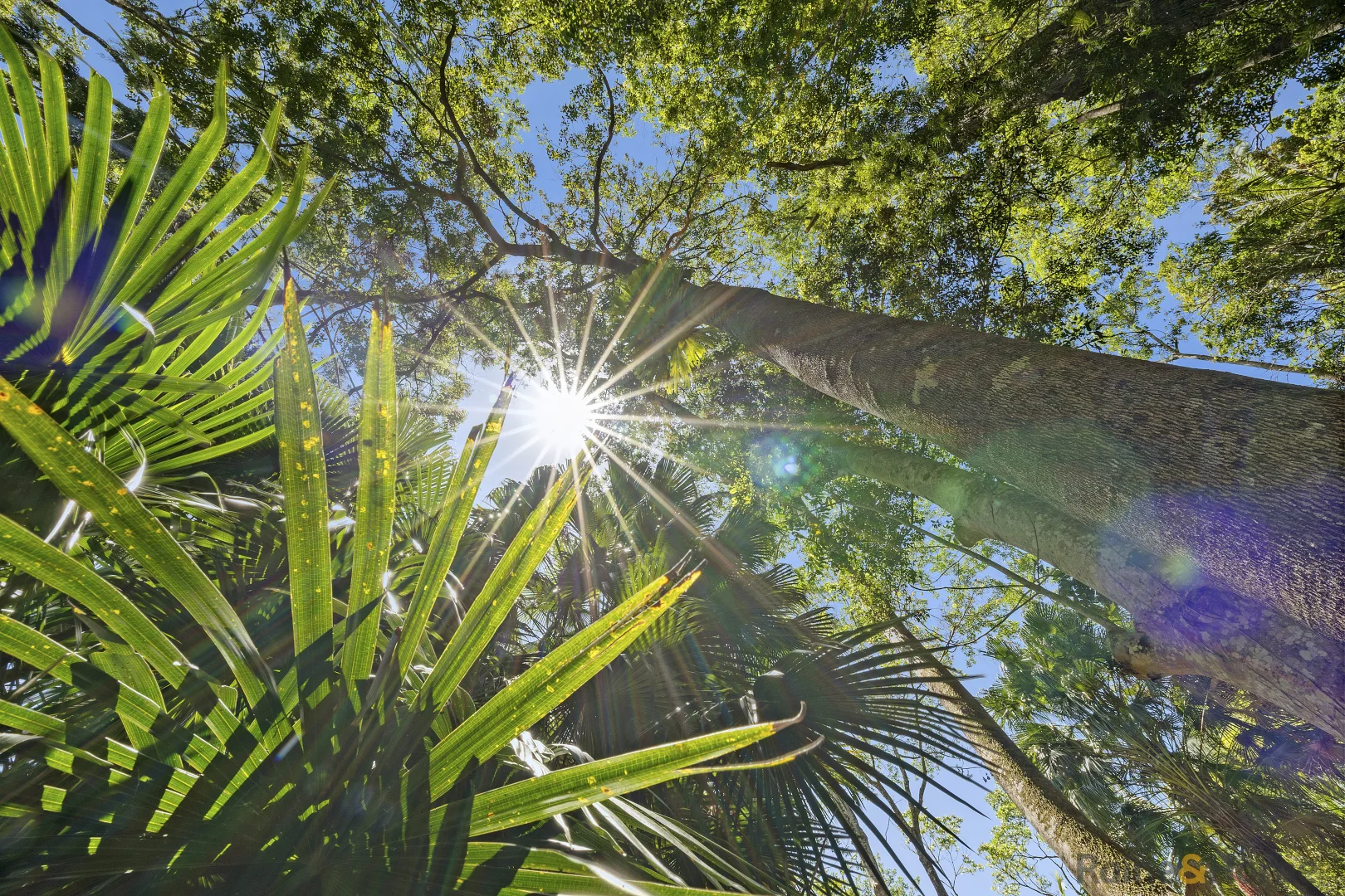 Additional image 10 of 126 Harwood Road, Burringbar NSW 2483