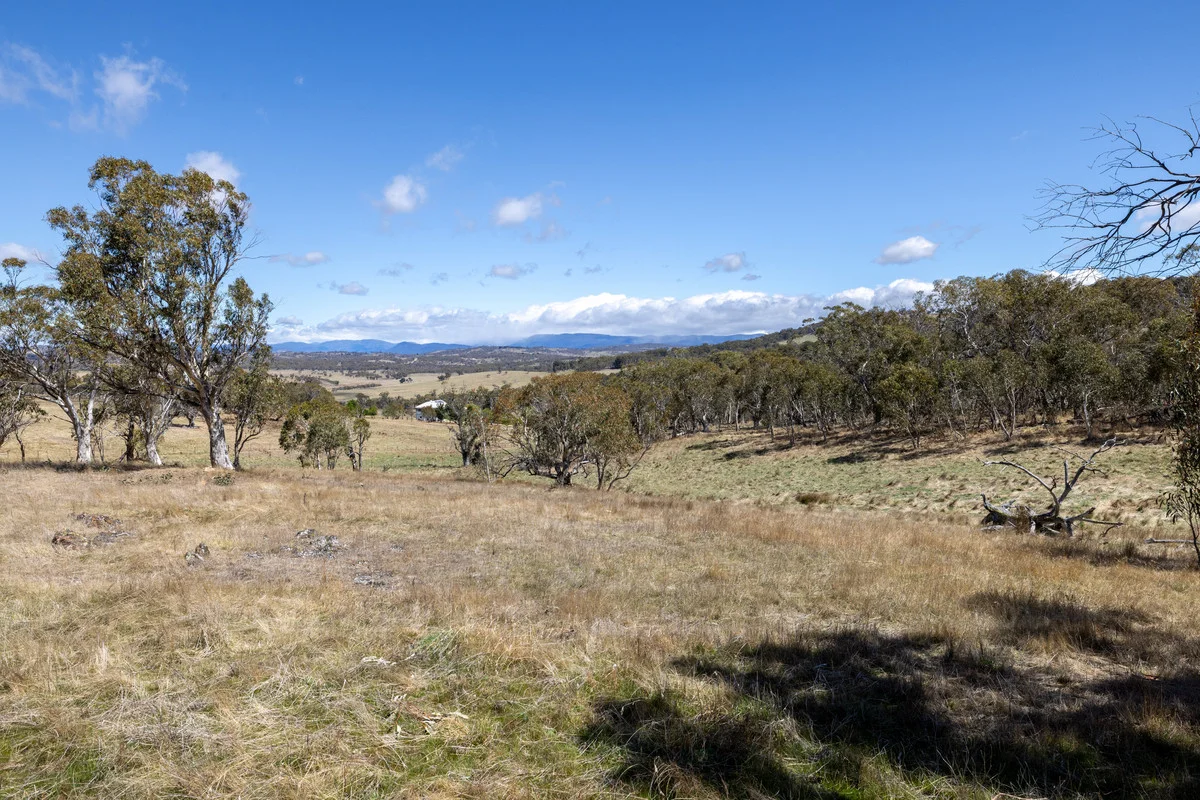 Additional image 3 of 195 Glenrowan Road, Avonside NSW 2628