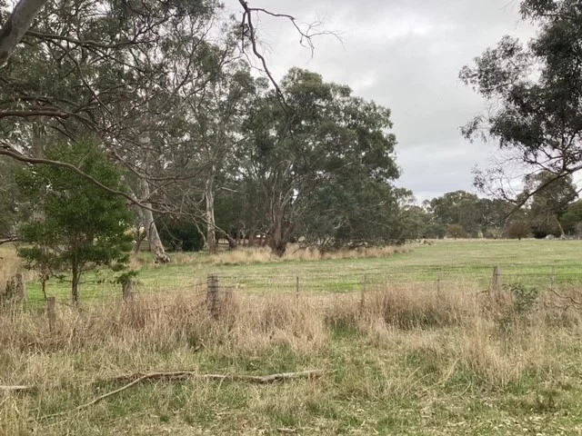 Additional image 9 of 1233 Waubra-Talbot Road, Evansford VIC 3371