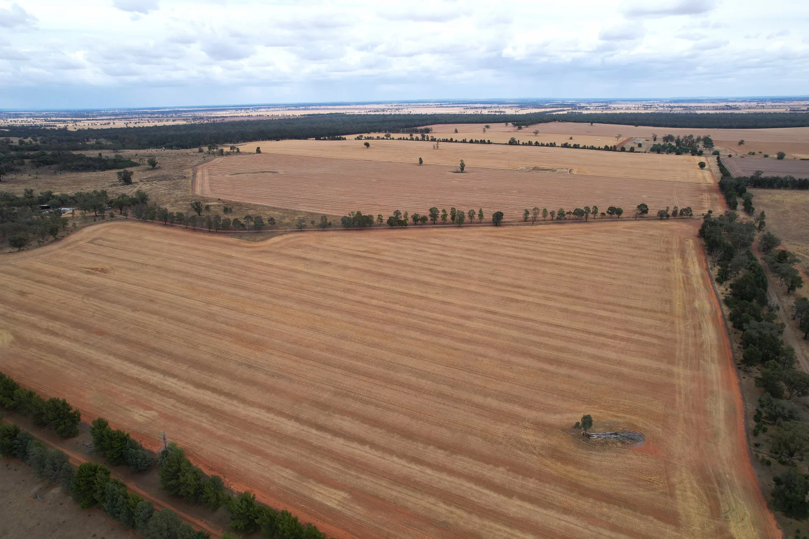 Additional image 22 of 76 Kerrs Lane, Caragabal NSW 2810