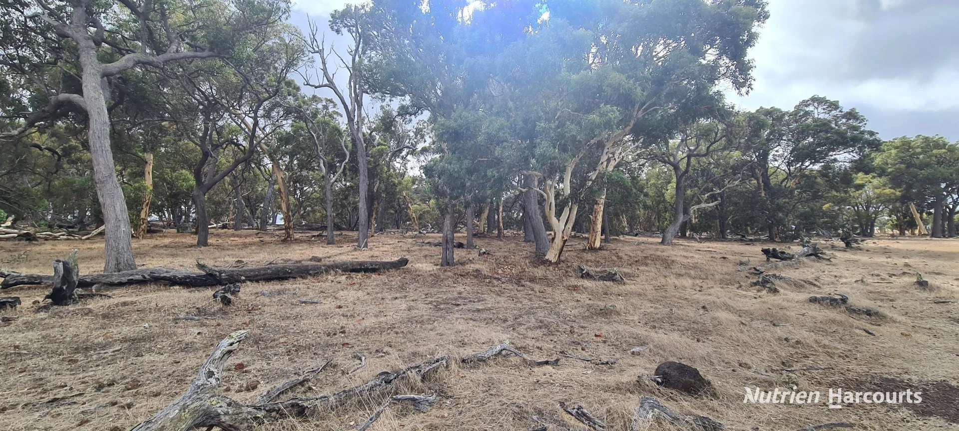 Additional image 5 of Lot 347 Yarralena Road, Cranbrook WA 6321