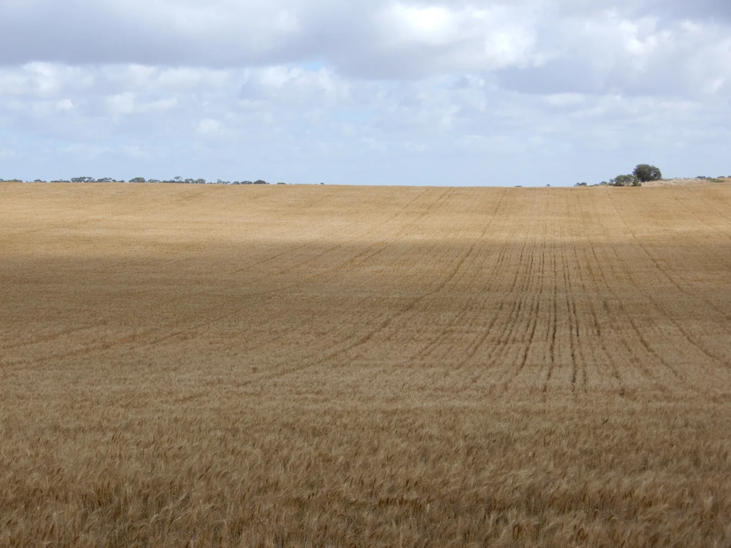 Additional image 19 of 33 Lutze Road, Coonalpyn SA 5265