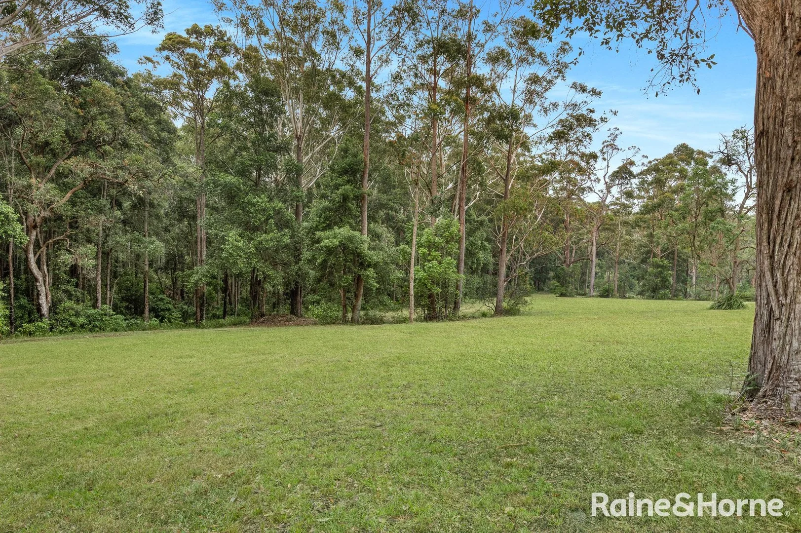 Additional image 3 of 49a Woollamia Road, Falls Creek NSW 2540