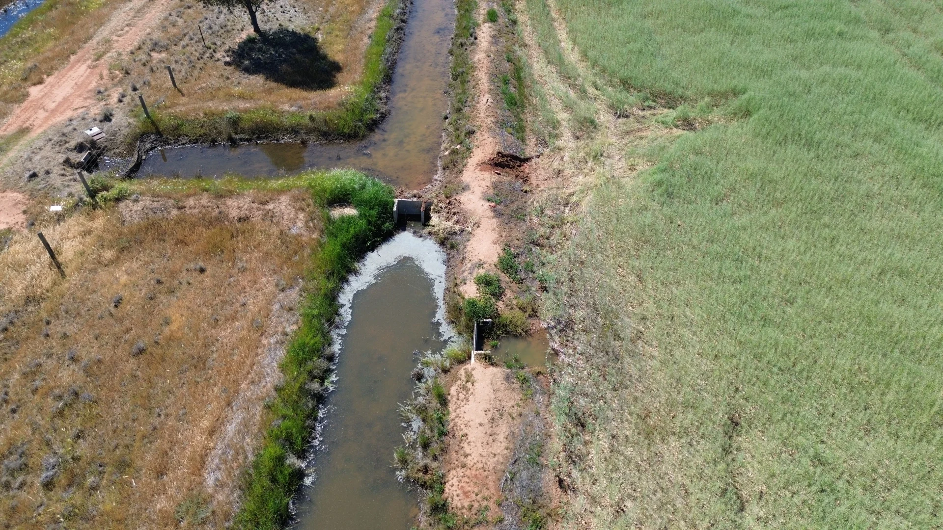 Additional image 18 of 520 Mayrung Road, Finley NSW 2713