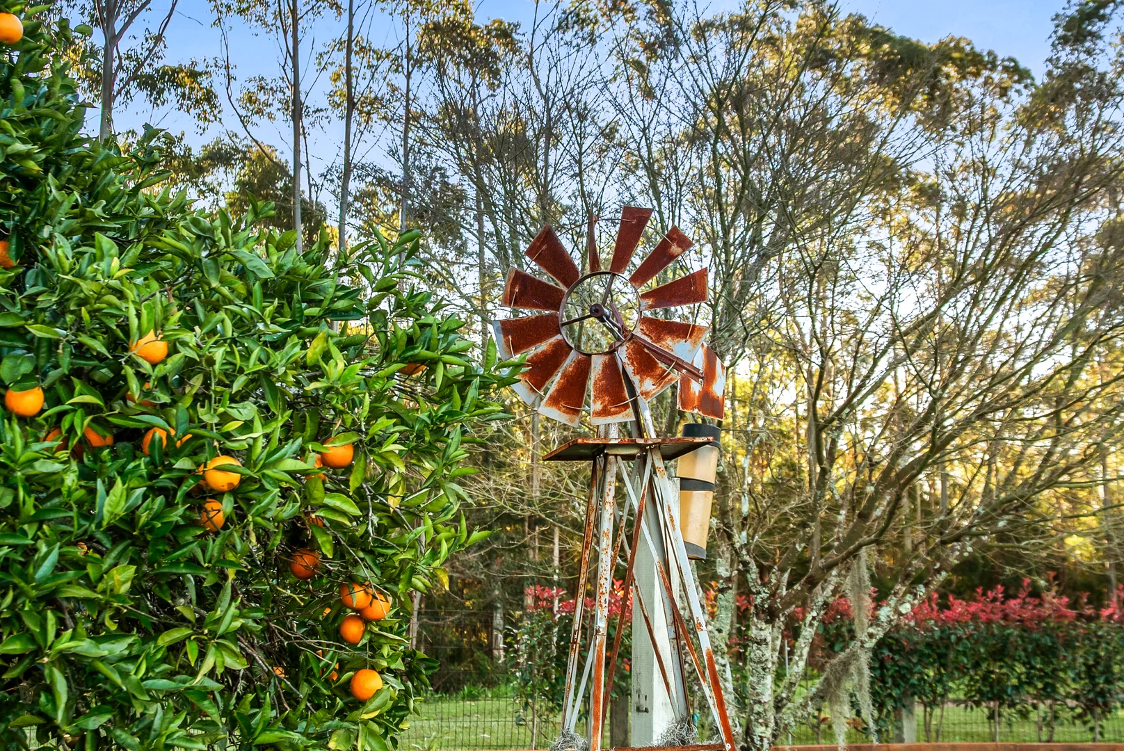 Additional image 2 of 813 Newmans Road, Wootton NSW 2423