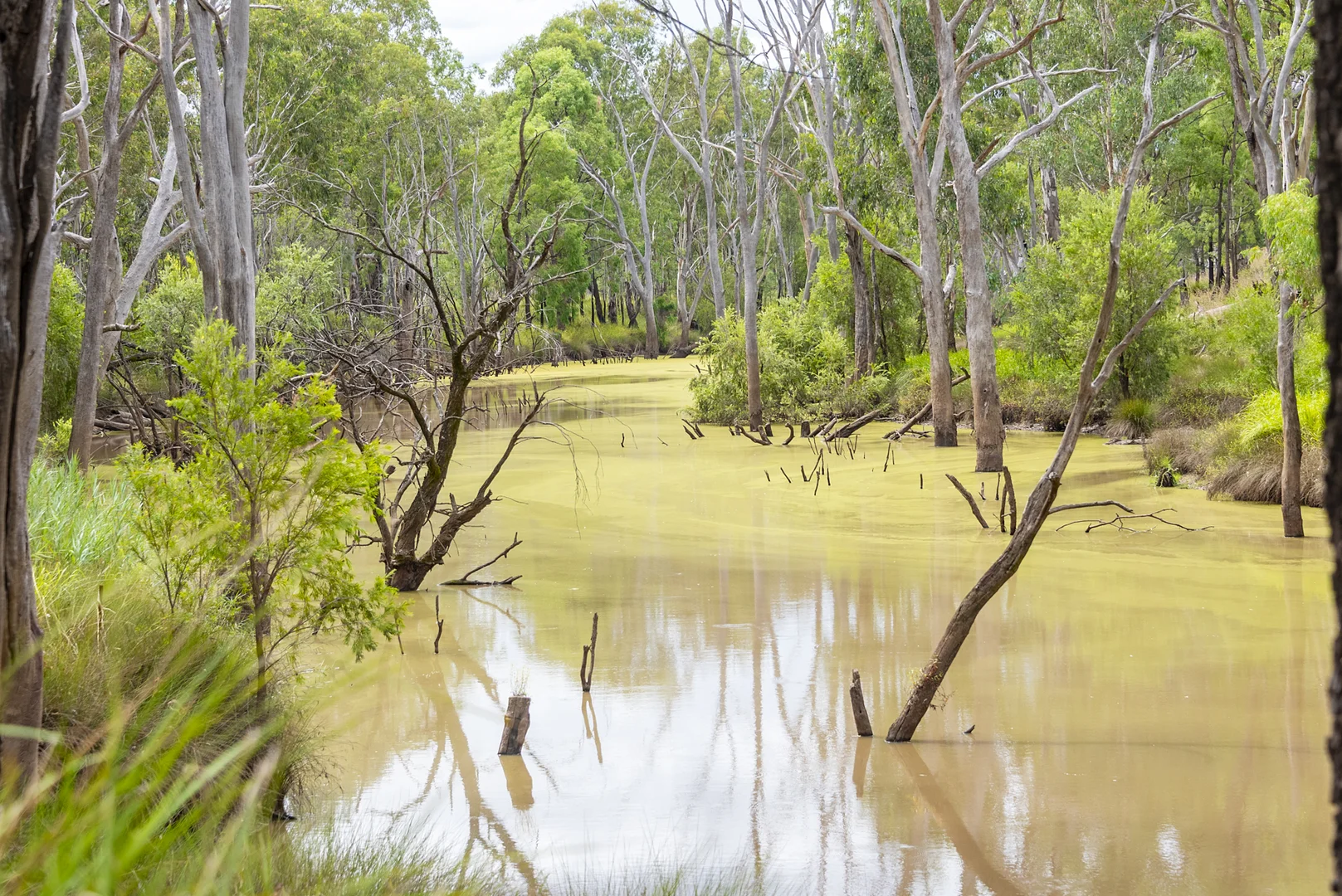 Additional image 5 of 127 Butlers Road, Miles QLD 4415