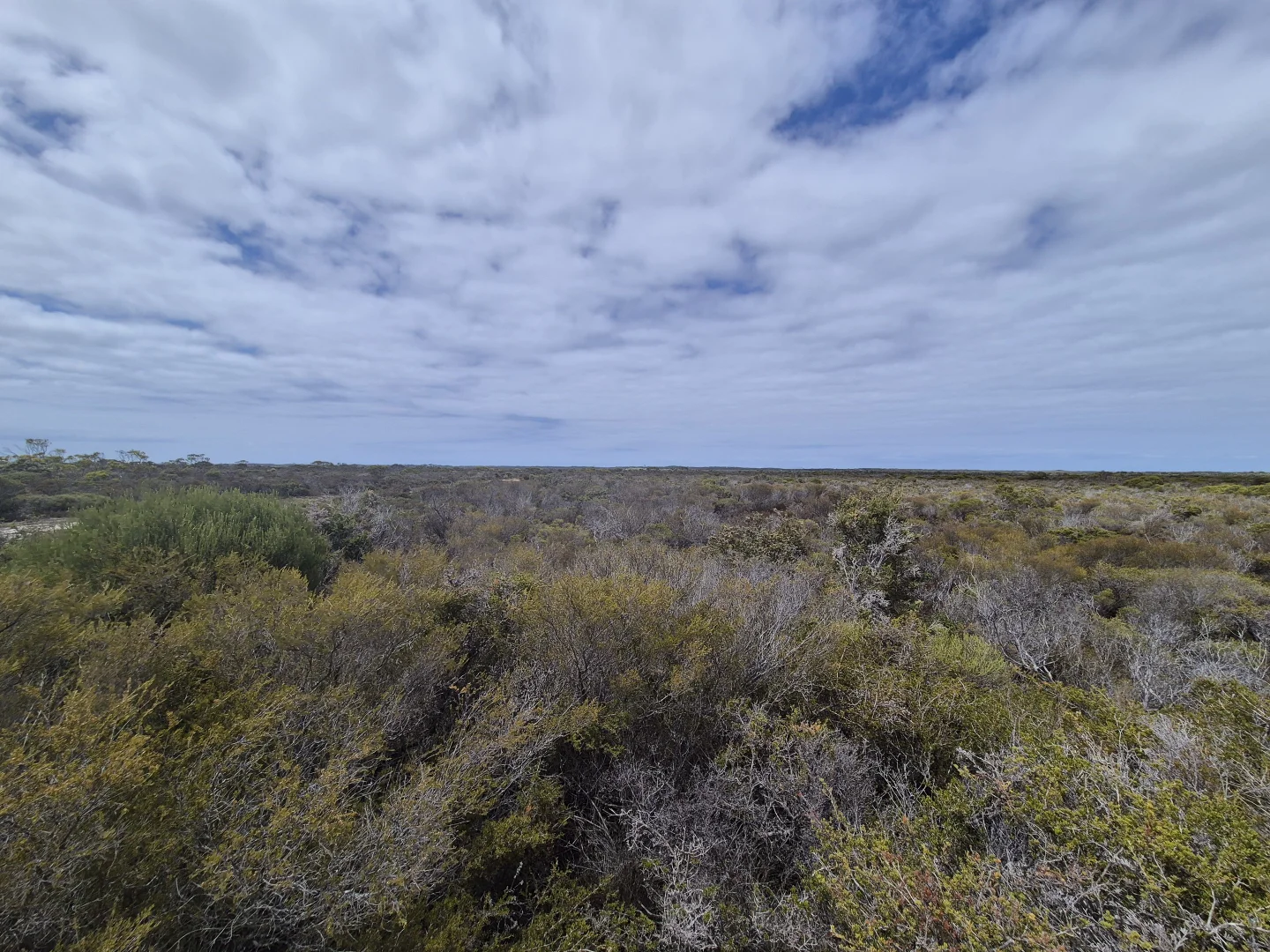 Additional image 15 of 344 Dotterel Drive, Hopetoun WA 6348