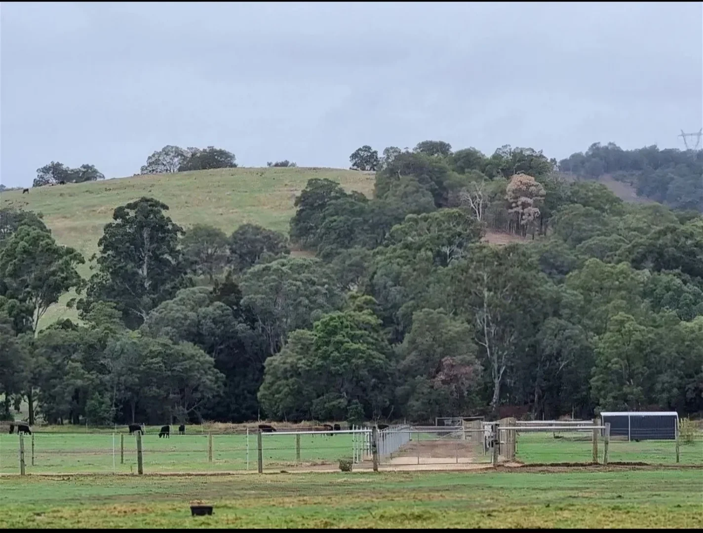 Additional image 16 of 24 Thompson Rd, Harvey WA 6220