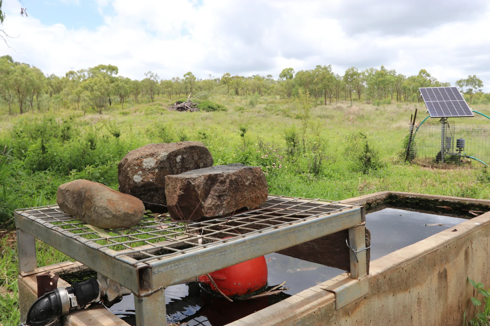 Additional image 15 of 890 Boulder Creek Rd, Boulder Creek QLD 4714