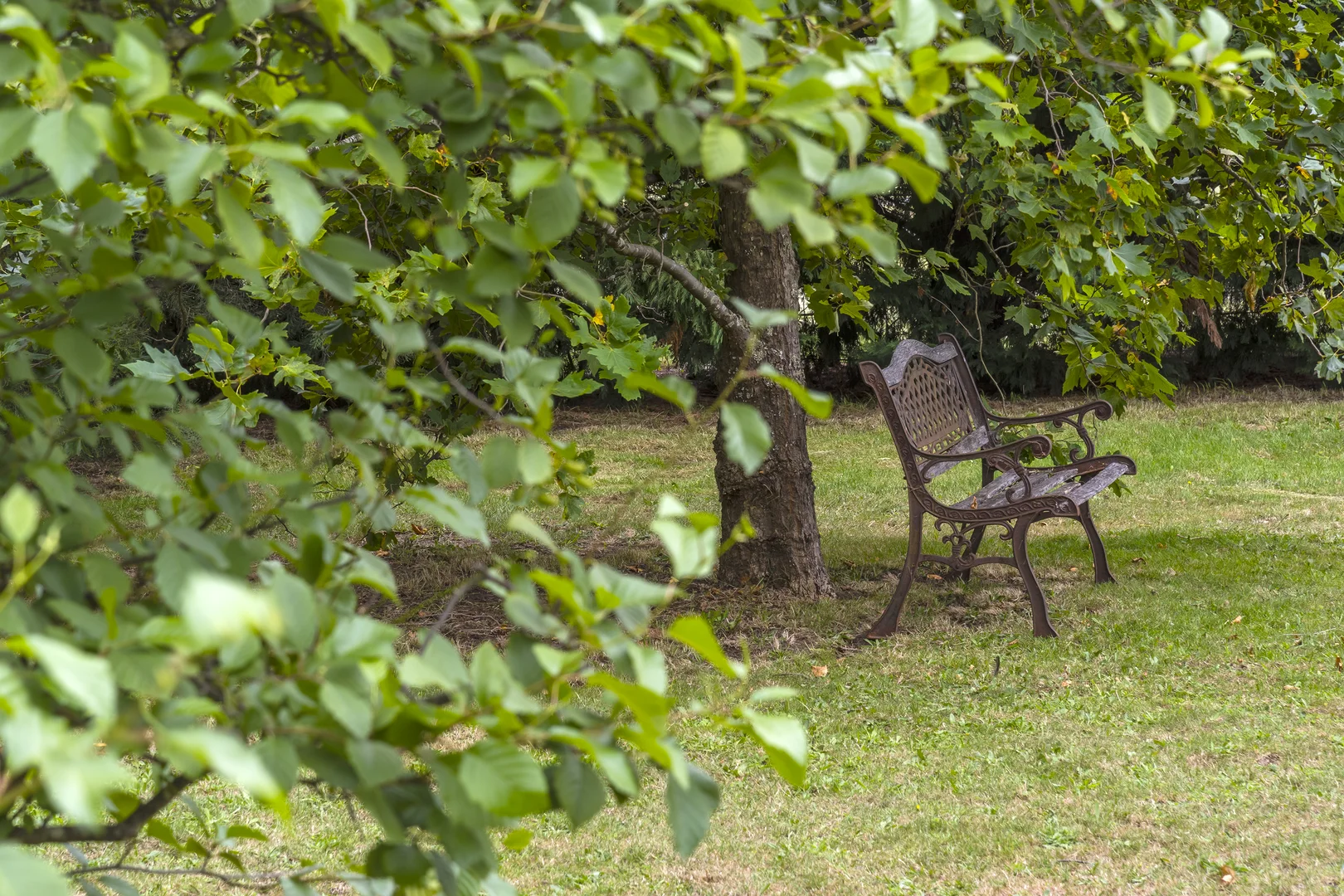 Additional image 28 of 44 Ross Street, Malmsbury VIC 3446