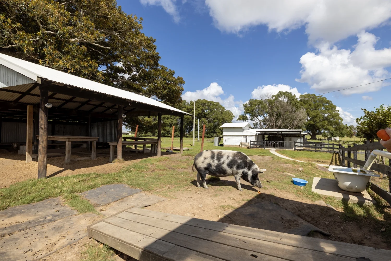 Additional image 37 of 1110 Macleay Valley Way, Bellimbopinni NSW 2440
