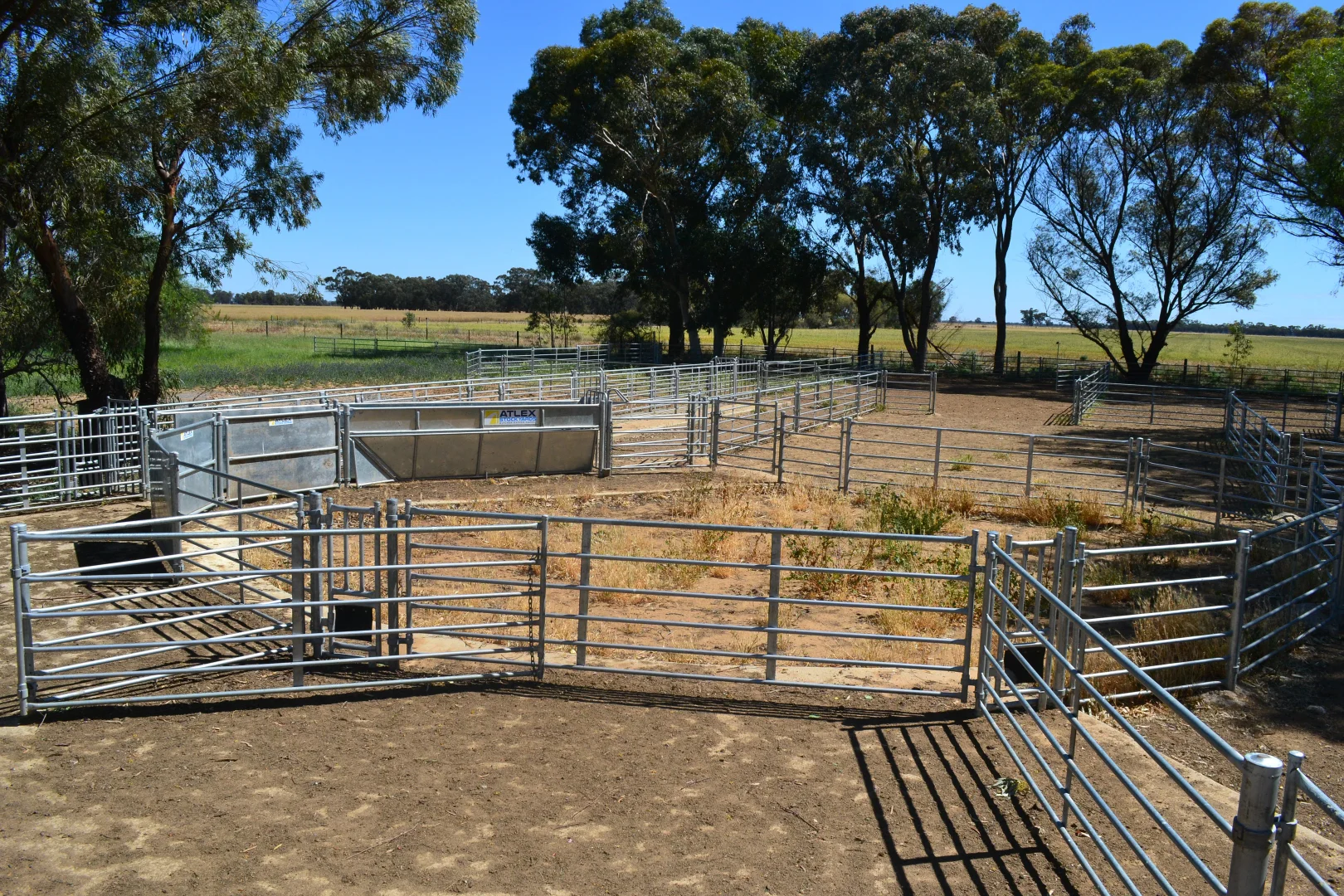 Additional image 10 of 520 Mayrung Road, Finley NSW 2713