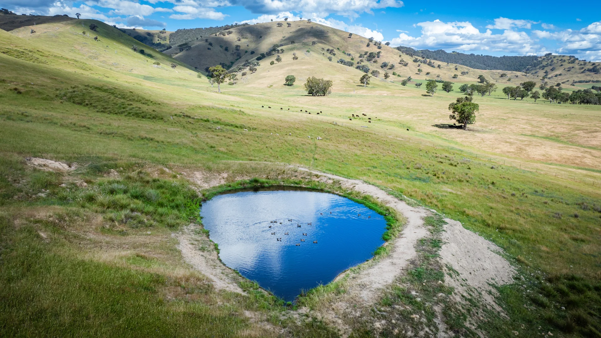 Additional image 6 of 4118 Murray River Road, Thologolong VIC 3691