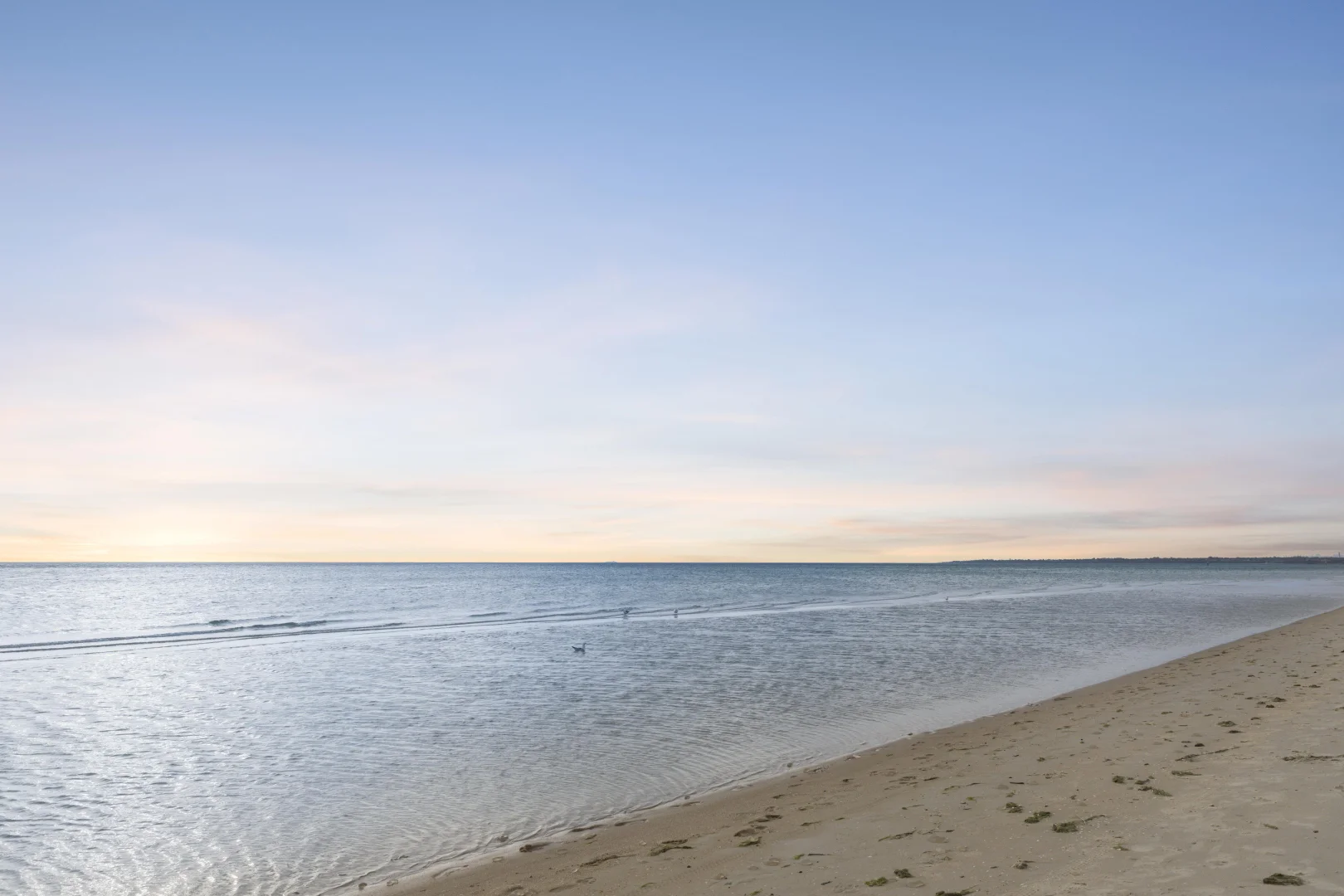 Additional image 25 of 5 Natal Avenue, Edithvale VIC 3196