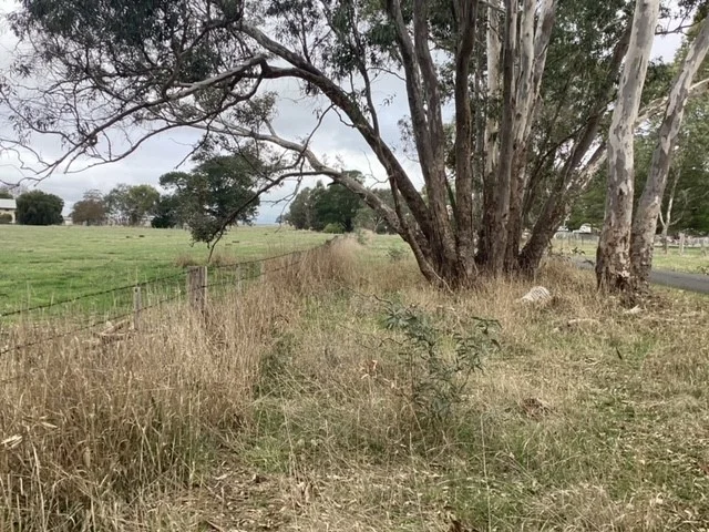 Additional image 10 of 1233 Waubra-Talbot Road, Evansford VIC 3371