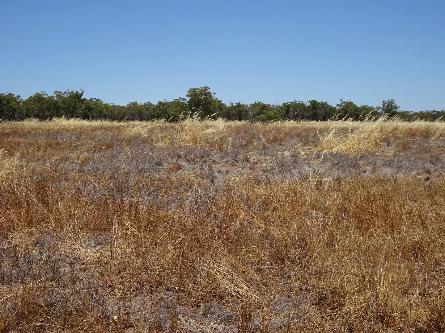 Additional image 13 of 160 Chittleborough Road, Brookton WA 6306