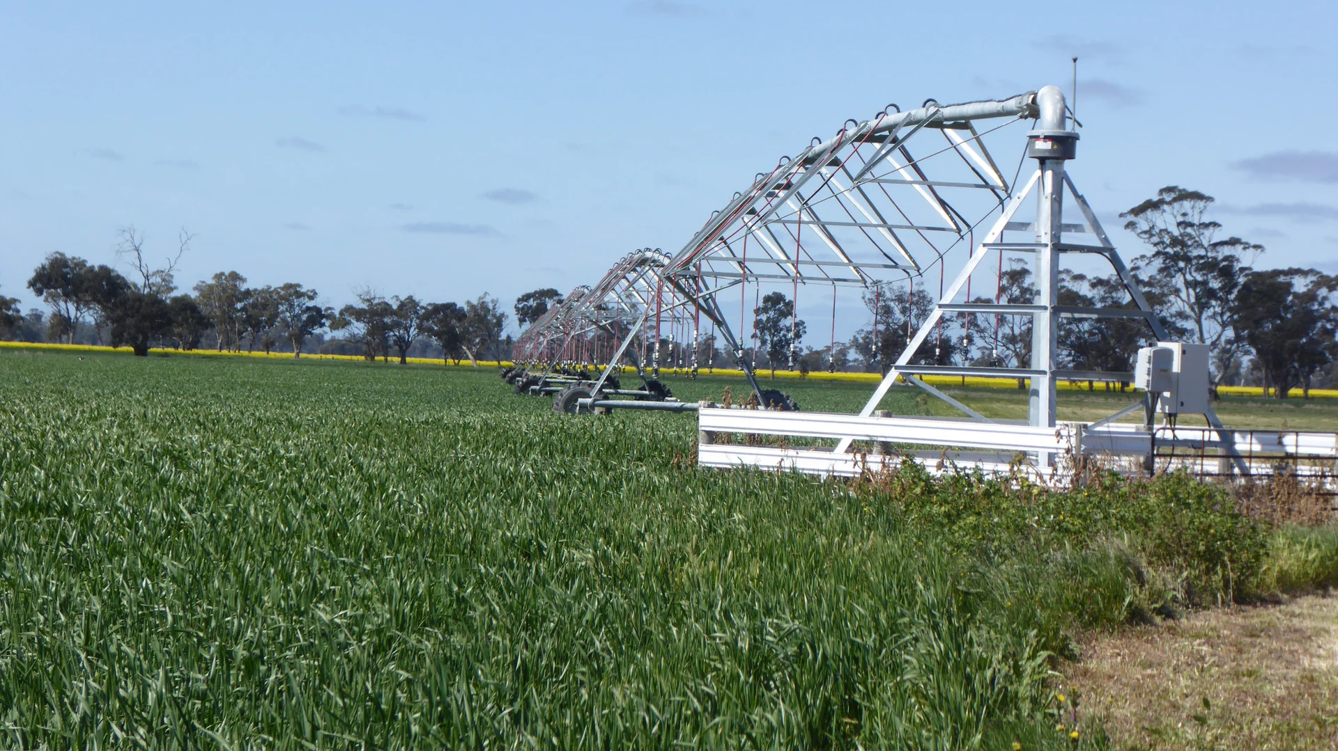 Additional image 15 of 139 Packer Road, Bordertown South SA 5268