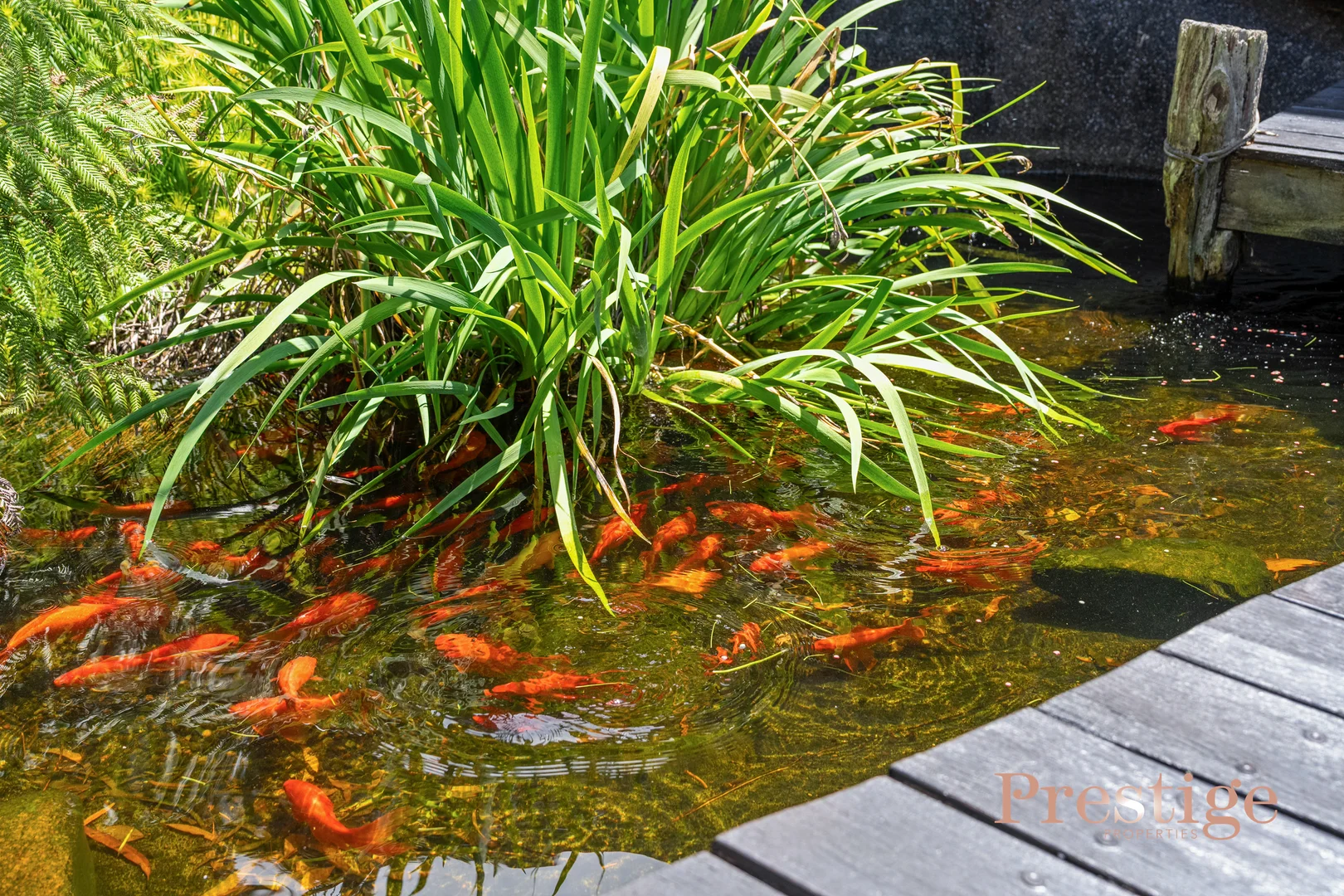 Additional image 20 of 3 Indra Road, Tascott NSW 2250