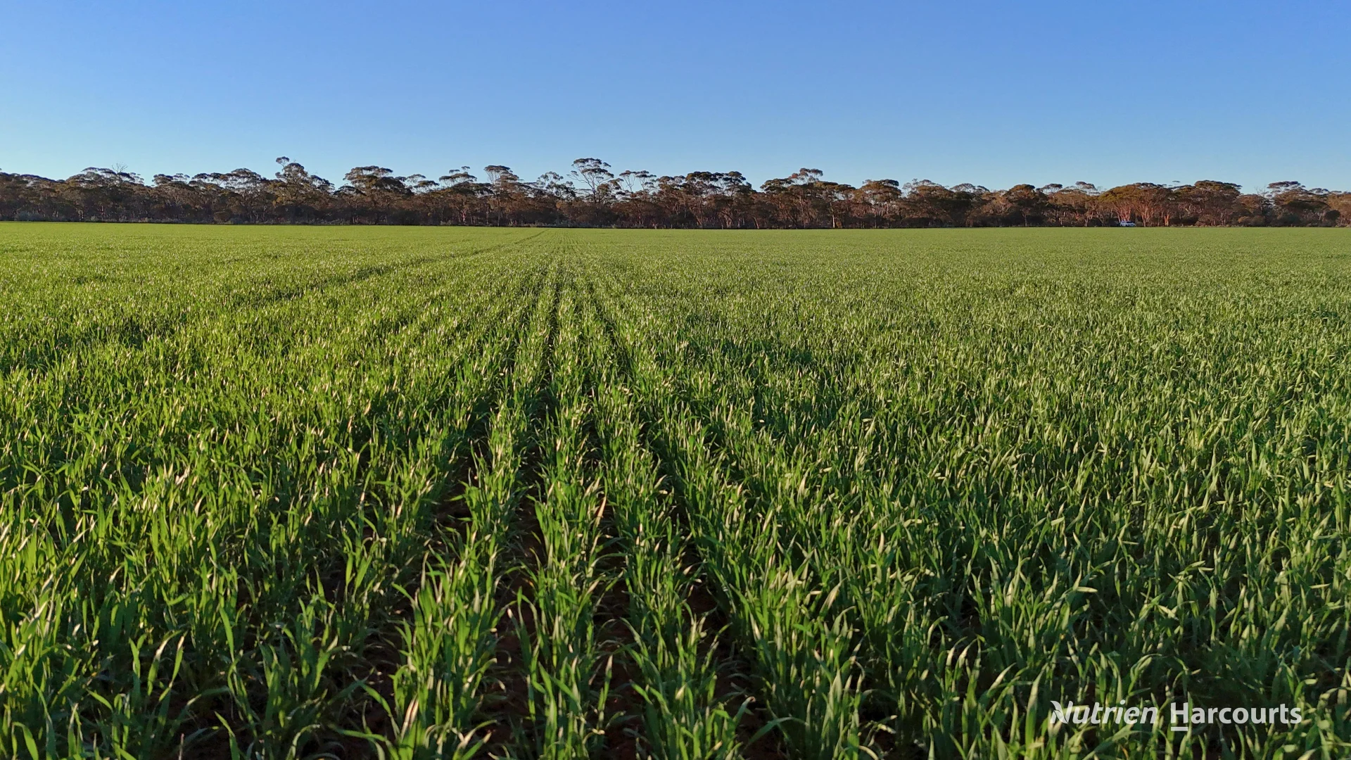 Additional image 8 of Lot 379 Garratt Road, Southern Cross WA 6426