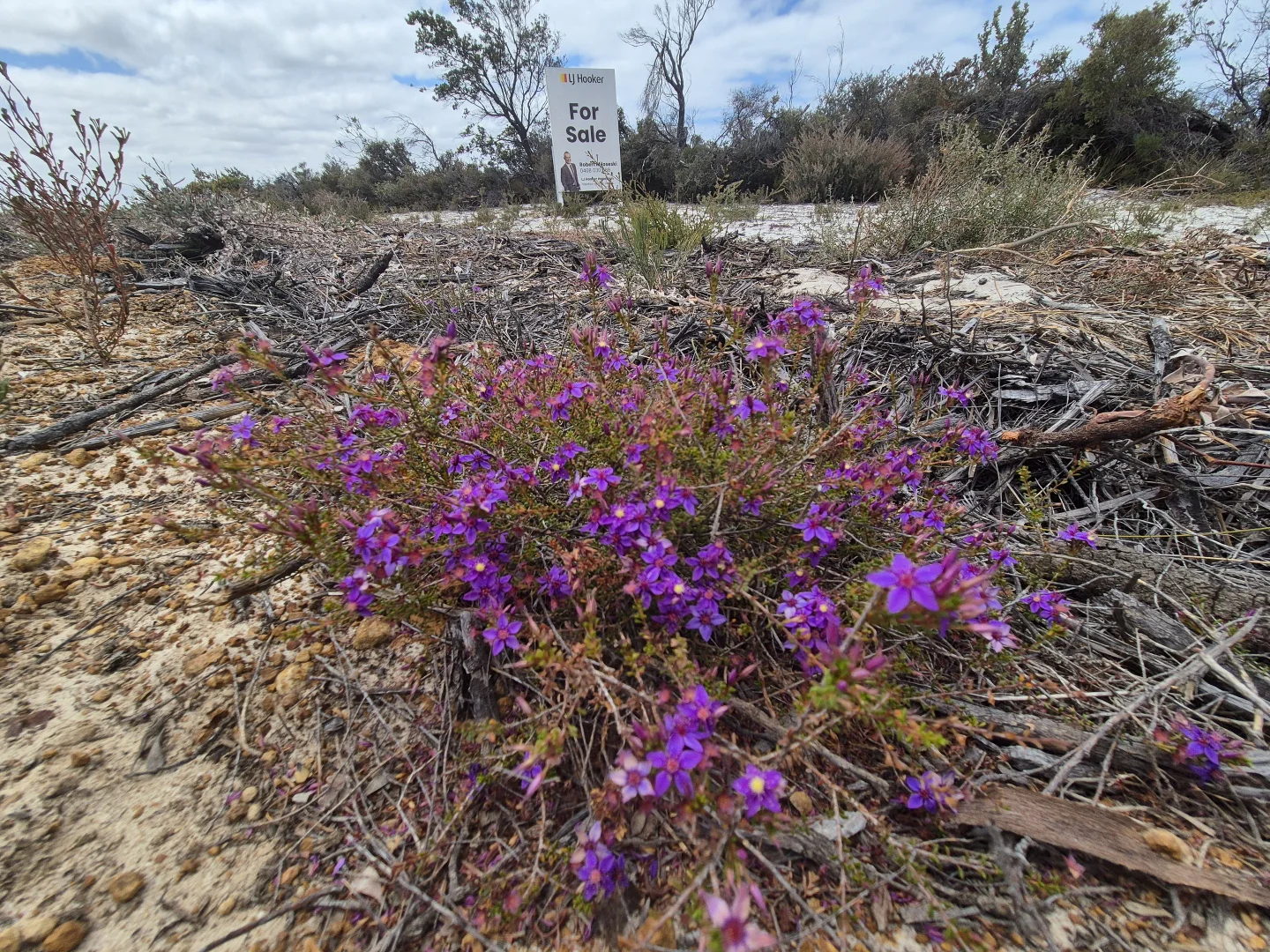 Additional image 23 of 344 Dotterel Drive, Hopetoun WA 6348
