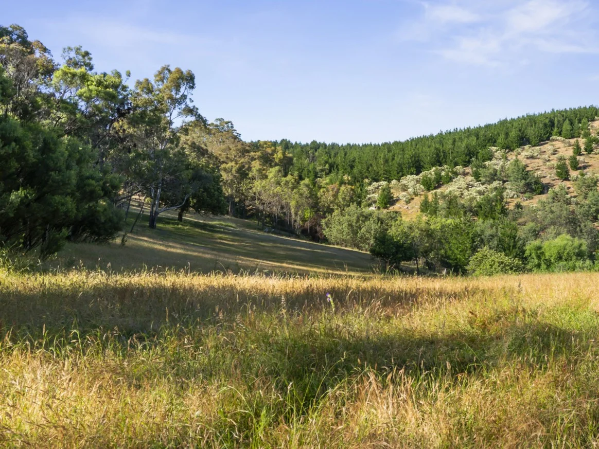 Additional image 13 of 486 Mitchell Road, Tatong VIC 3673