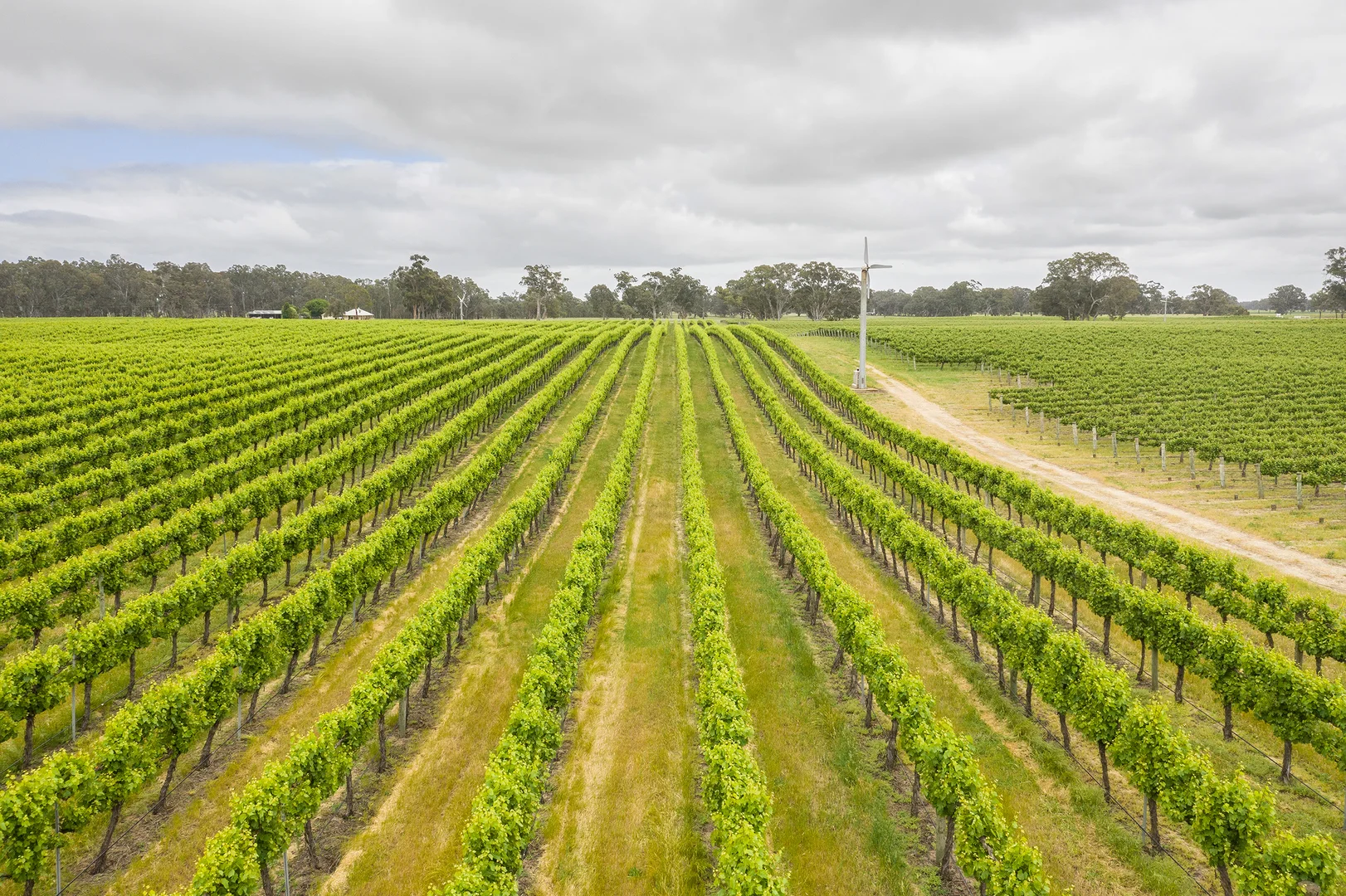 Additional image 2 of Nolans Road, Hynam SA 5262