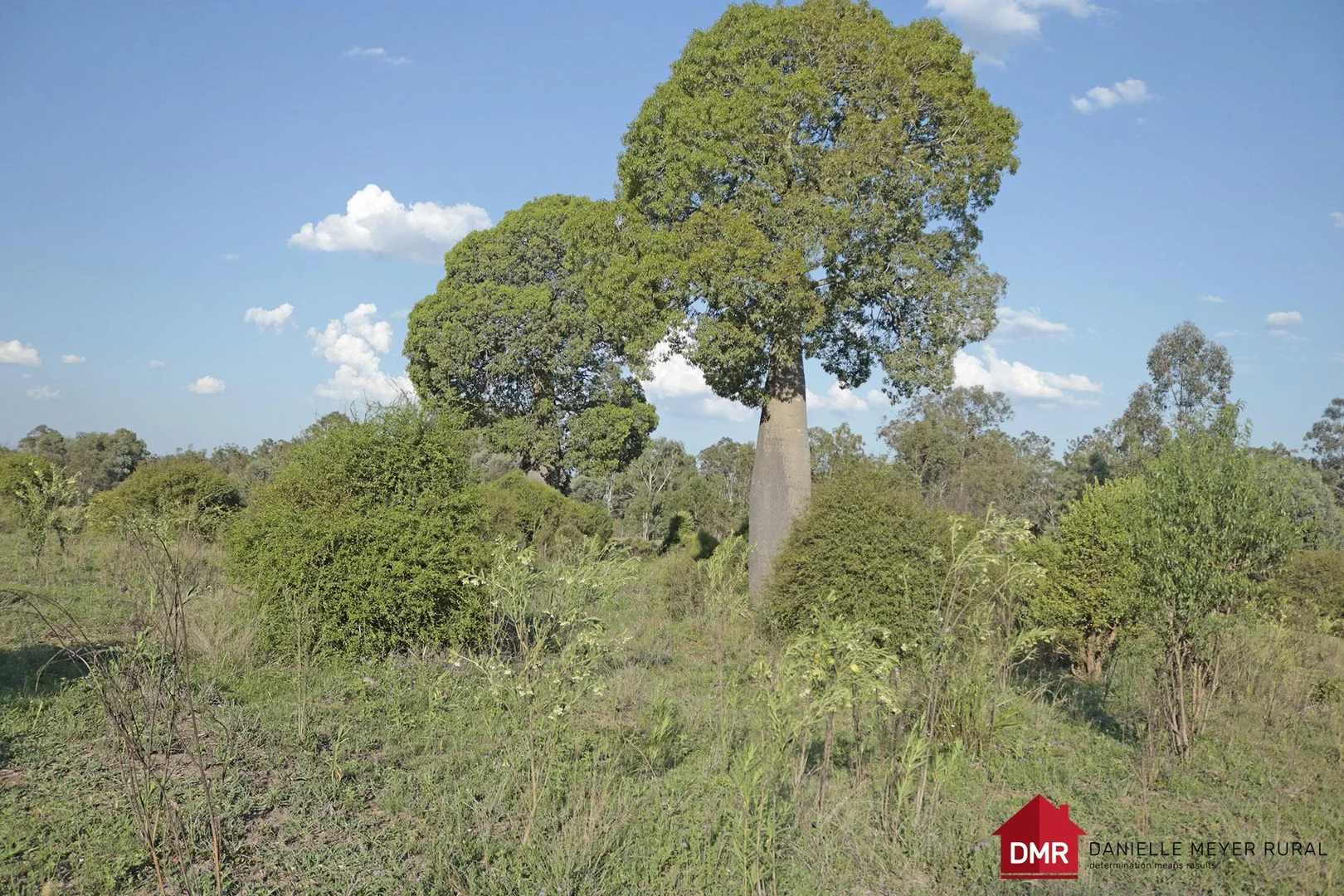 Additional image 25 of 24754 Burnett Highway, Ceratodus QLD 4627