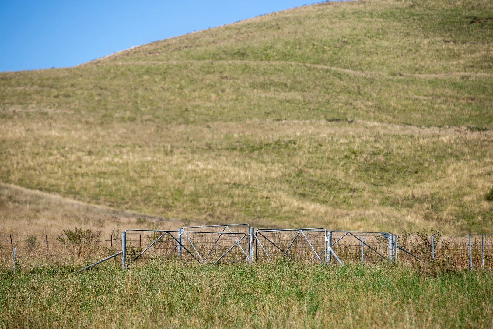 Additional image 29 of 1763 Wongwibinda Road, Armidale NSW 2350