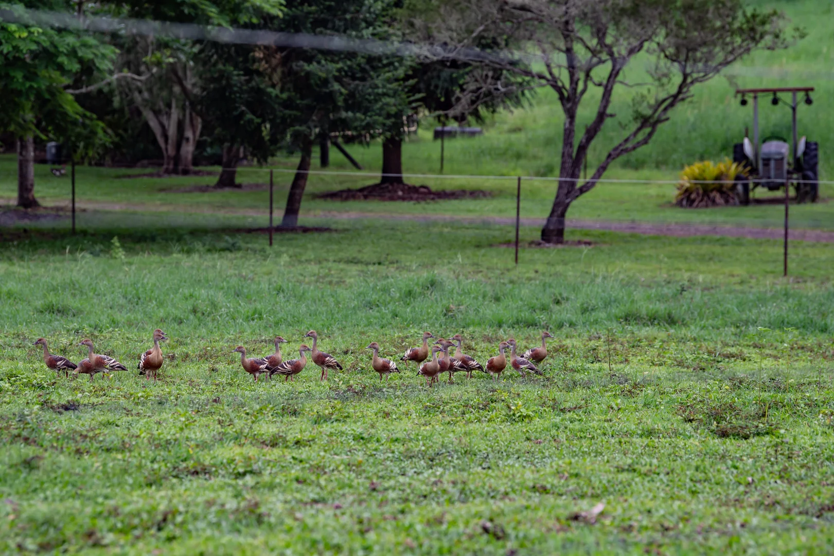Additional image 22 of 122 Patullo Road, Gregory River QLD 4800
