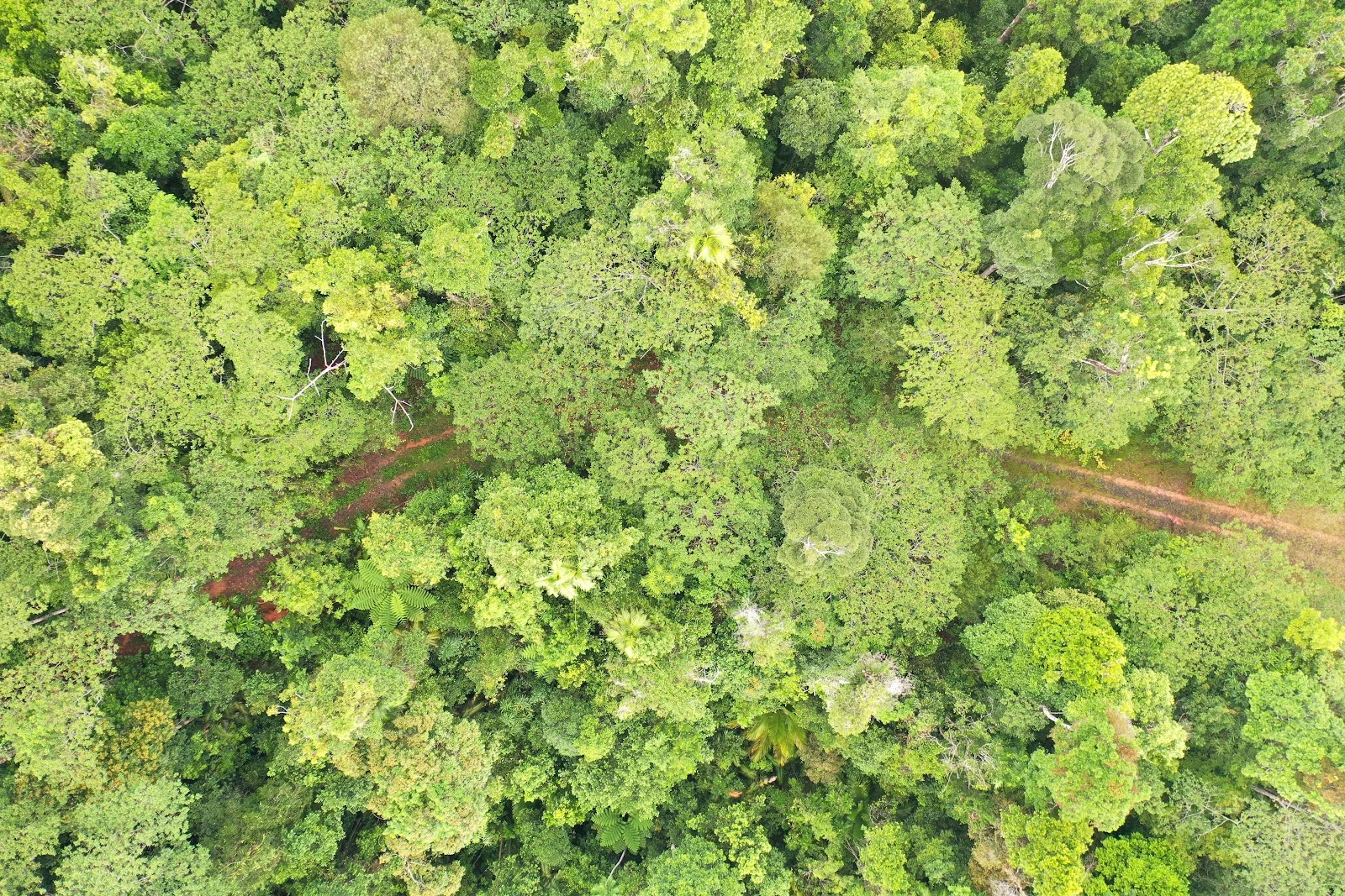 Additional image 31 of Lot 213 Kelly Road, Ellinjaa QLD 4886