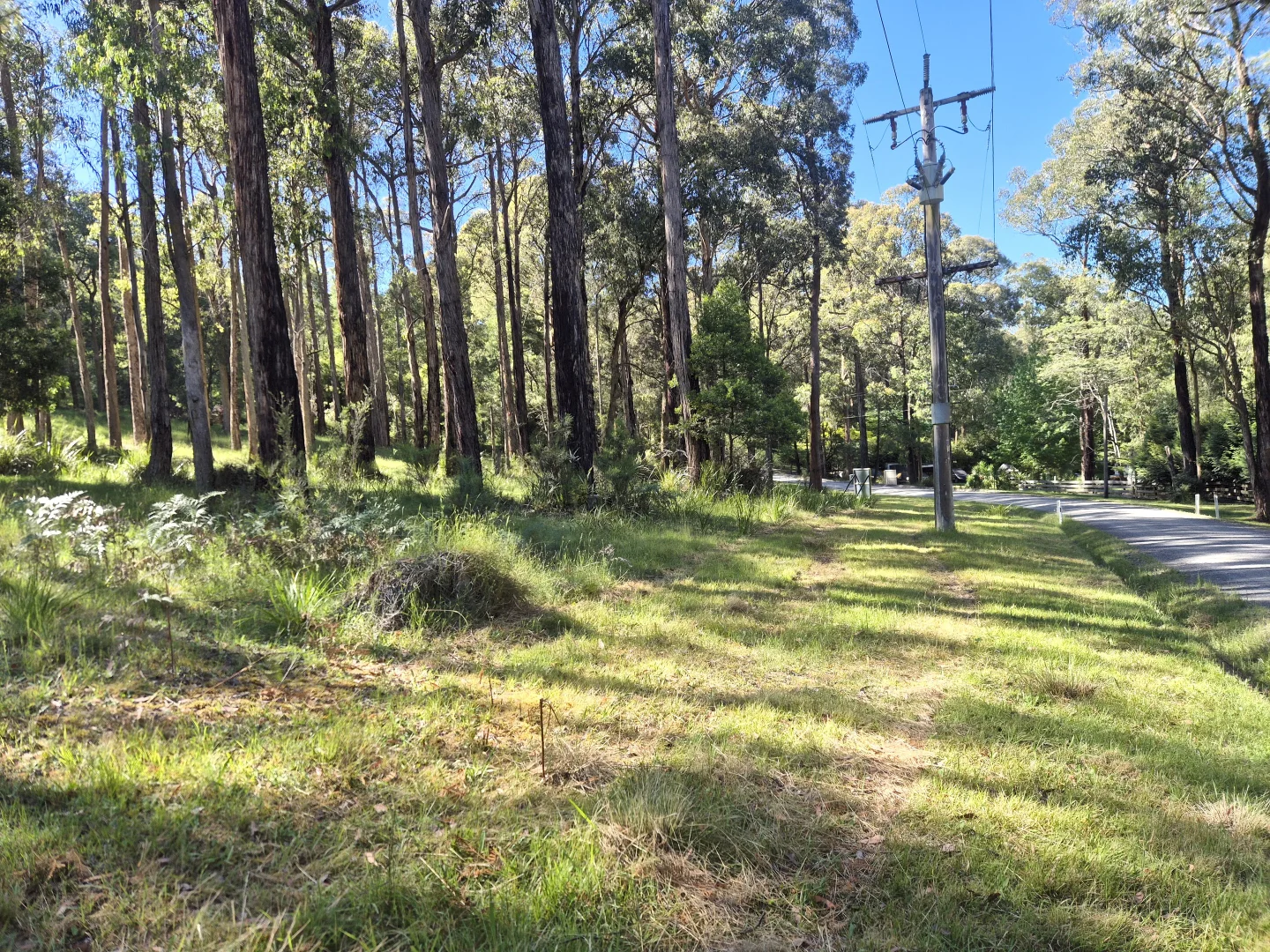 Additional image 4 of 22 Fisherman Drive, Reefton VIC 3799