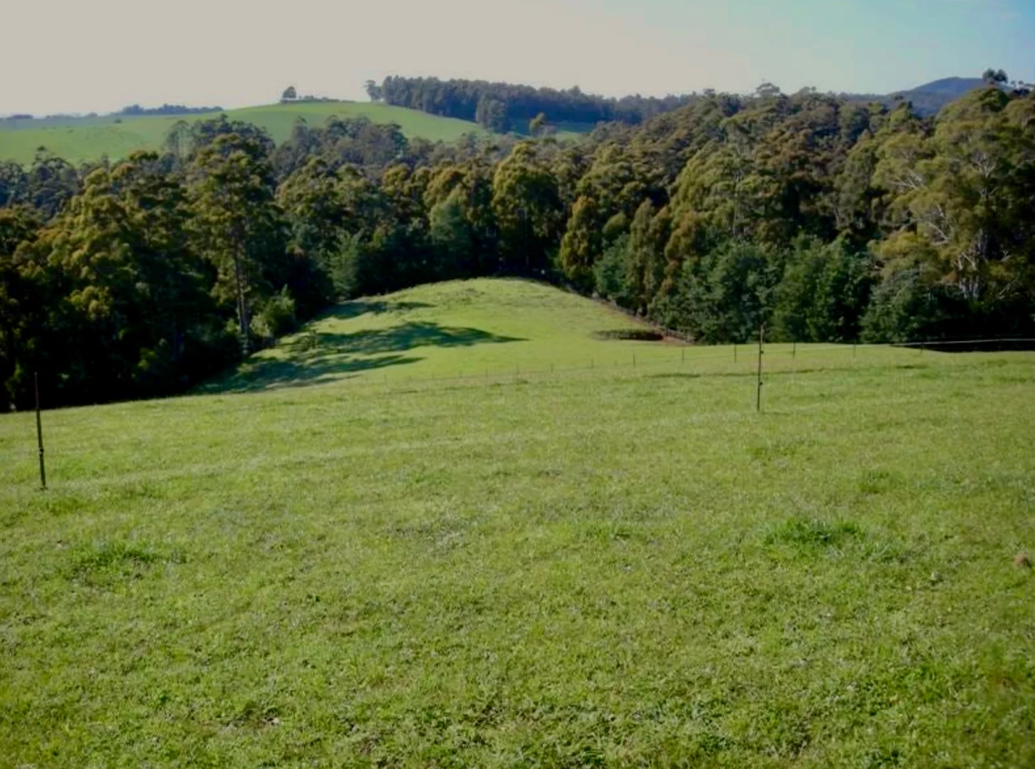 Additional image 2 of 470 Allison Rd, North Motton TAS 7315