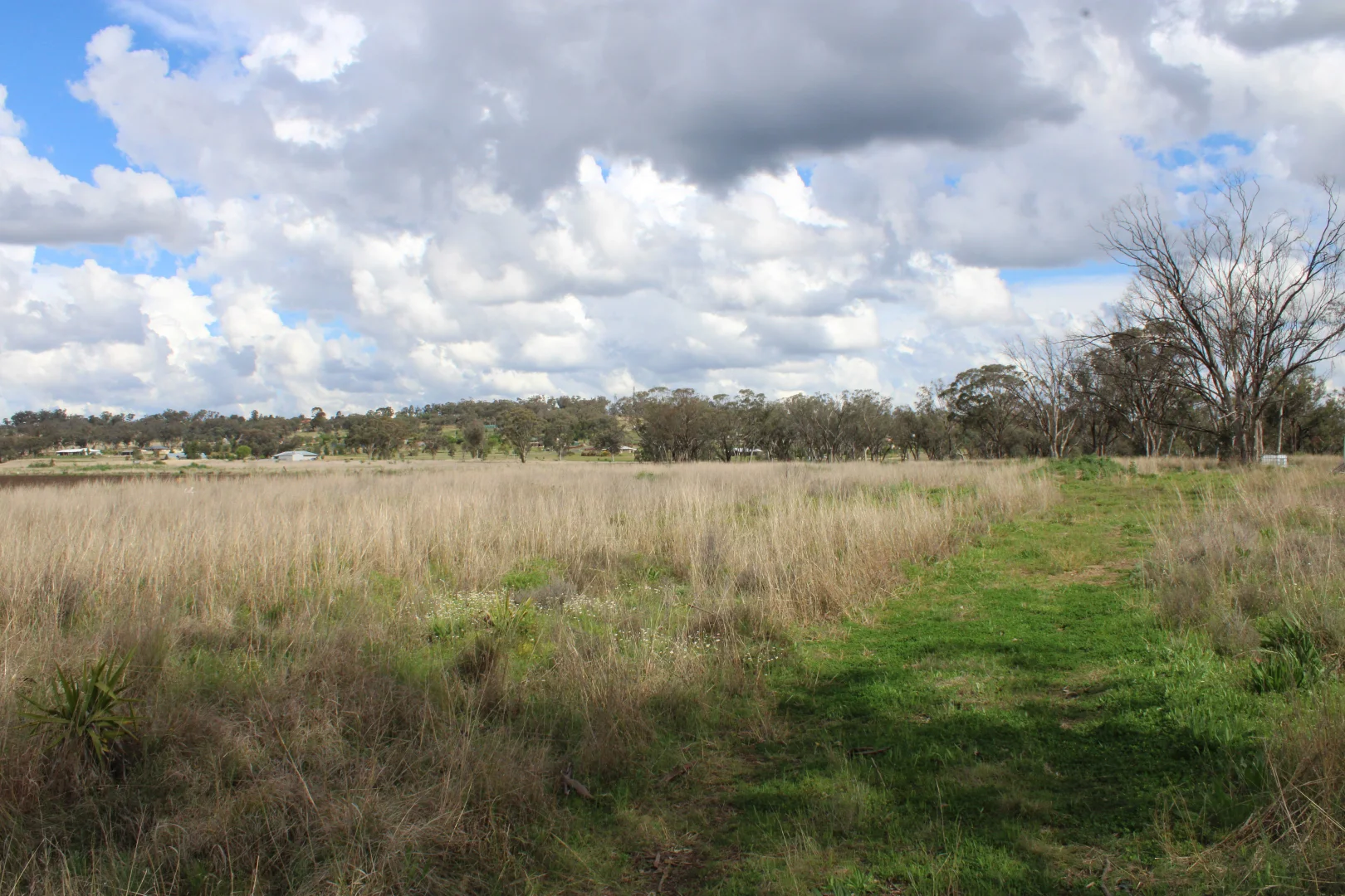Additional image 8 of Lot 2 Burtenshaws Road, Inverell NSW 2360