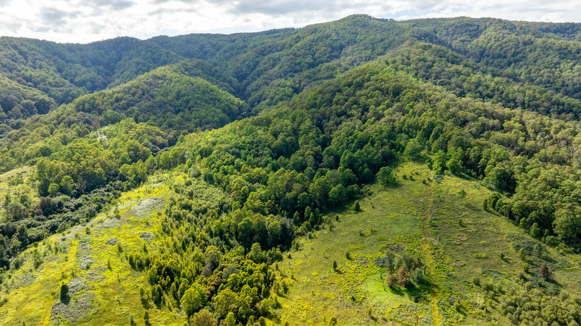 Additional image 9 of 1012 Boonabilla Road, Gresford NSW 2311