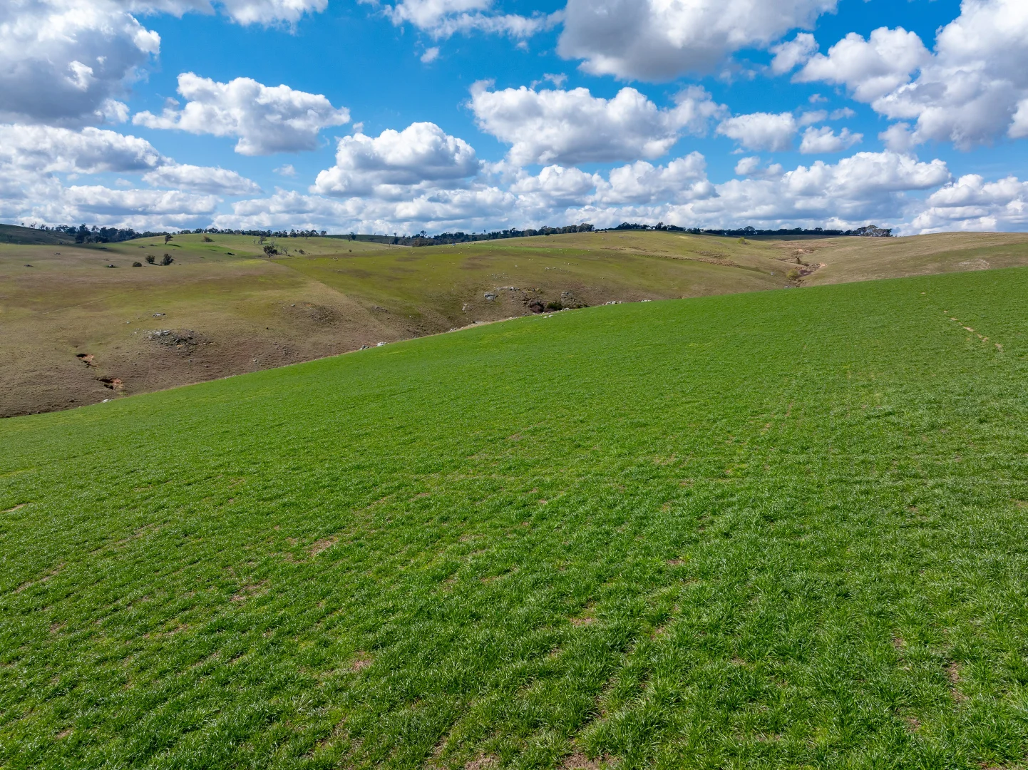 Additional image 27 of 1185 Golspie Road, Golspie NSW 2580