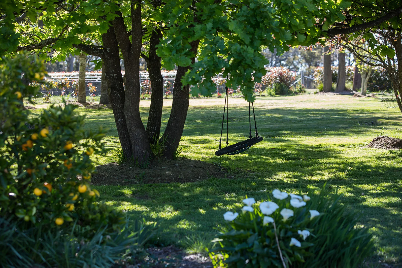 Additional image 18 of 865 Joadja Road, Joadja NSW 2575