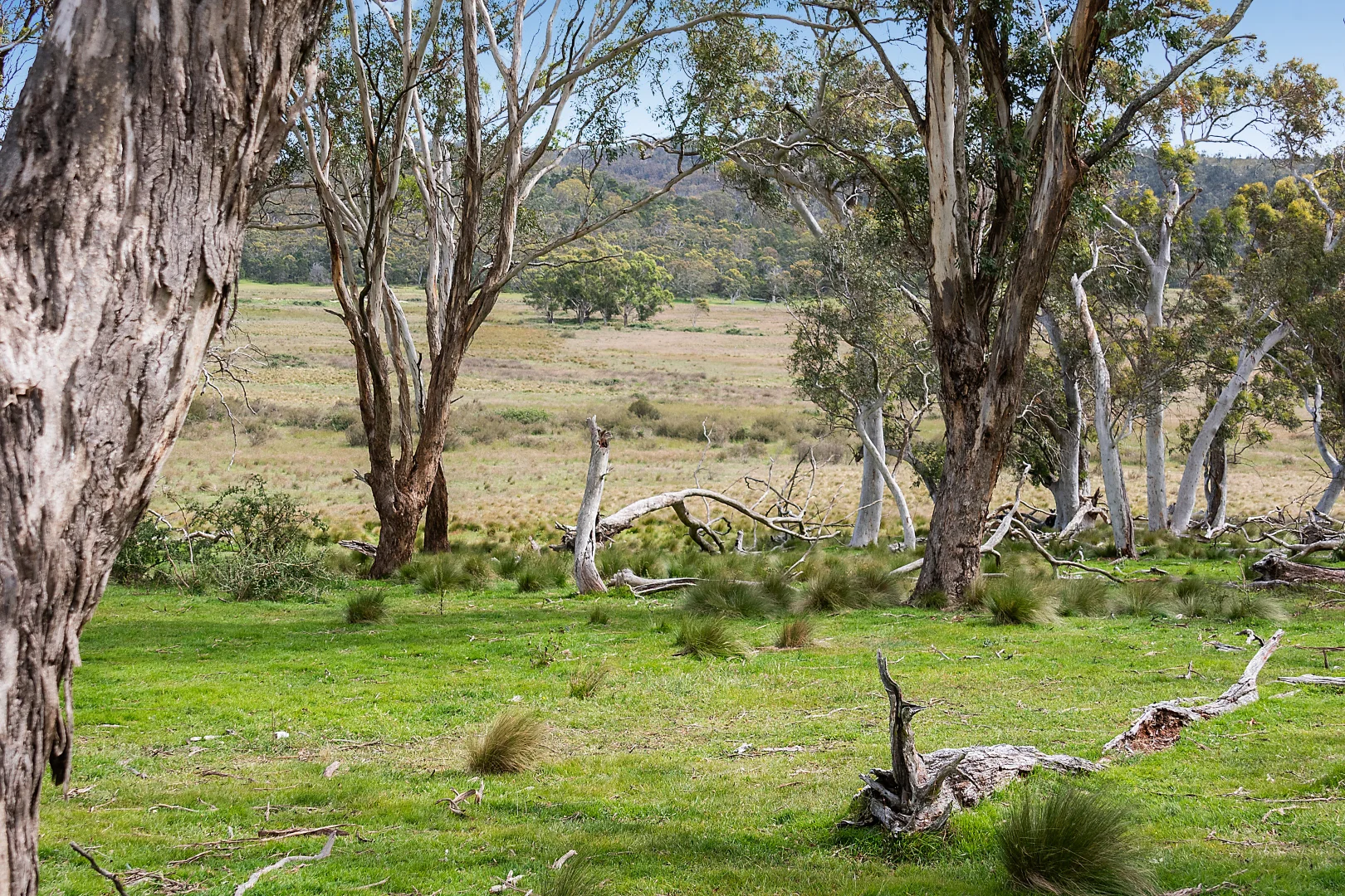 Additional image 4 of 14/371 Mayfield Road, Braidwood NSW 2622