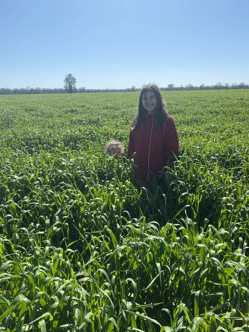 Additional image 2 of 'The Pines' 211 Dicks Camp Road, Collie NSW 2827