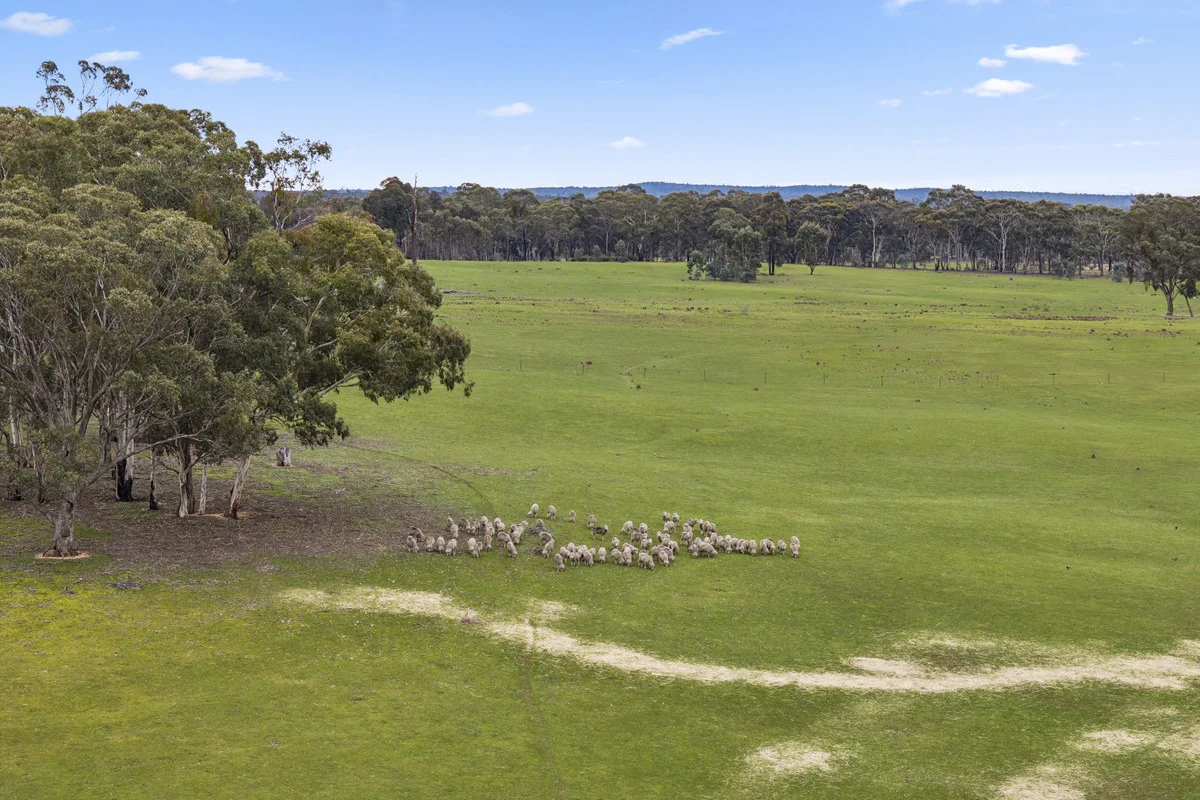 Additional image 36 of 1835 Lexton-Talbot Road, Talbot VIC 3371