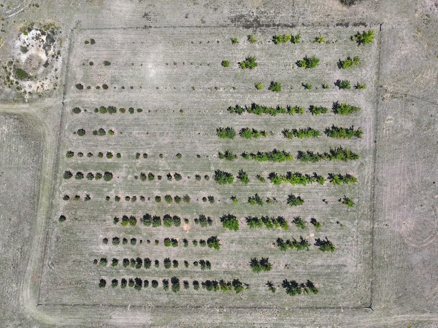 Additional image 17 of 760 Wallaces Gap Road, Braidwood NSW 2622